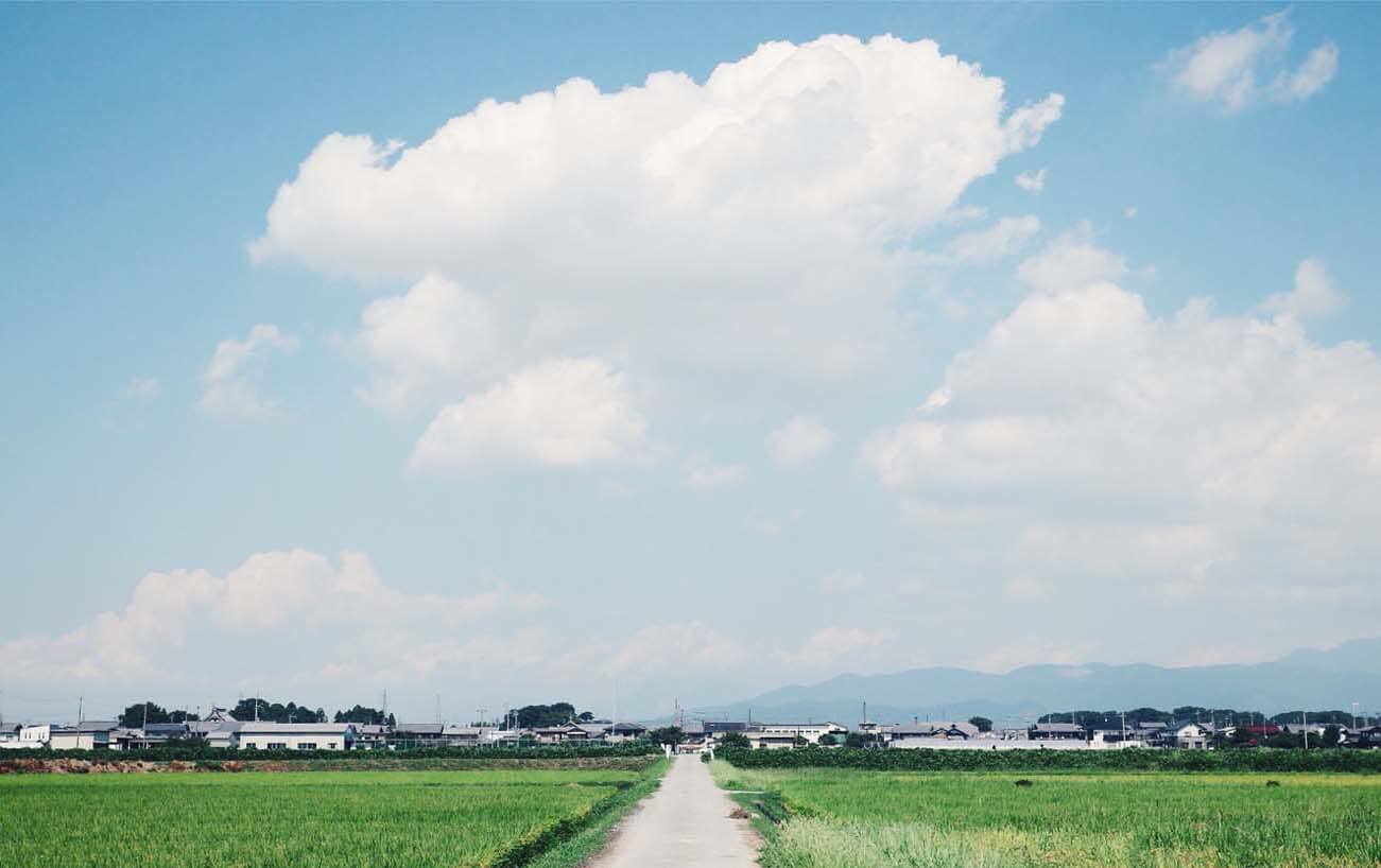 吉田の夏