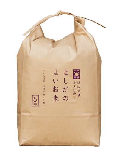 キヌヒカリ