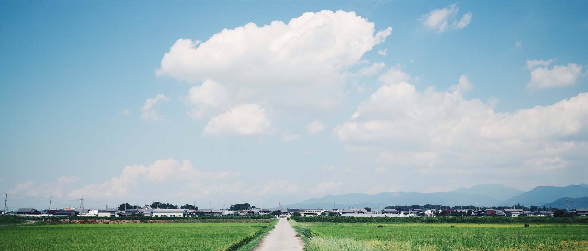 吉田の夏